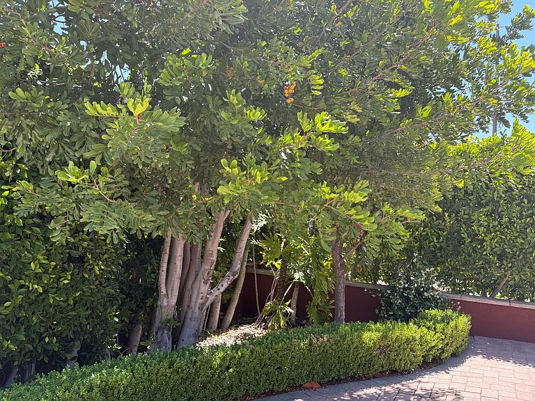 12859 Fenton Ave — Photo 45