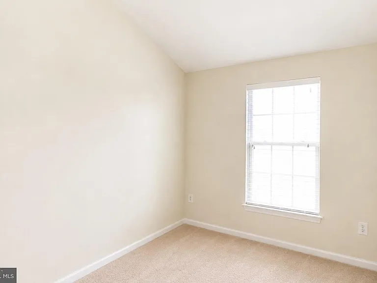 3351 Canton Ct — Photo 15