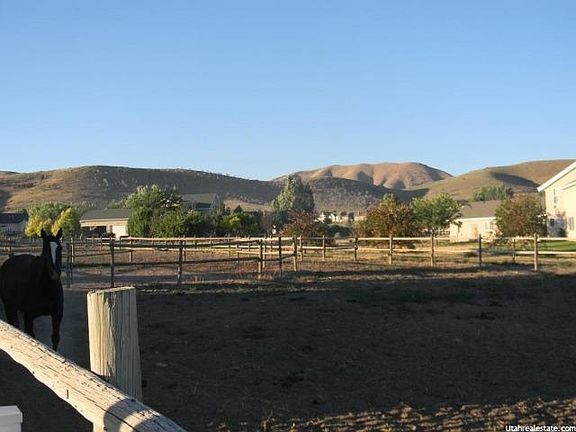 Pasture Arena
