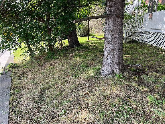 3rd image of 96 Saratoga Ave