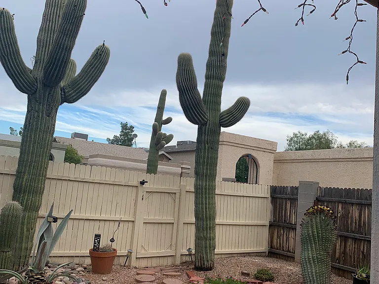 Outdoor area (connected to kitchen)
