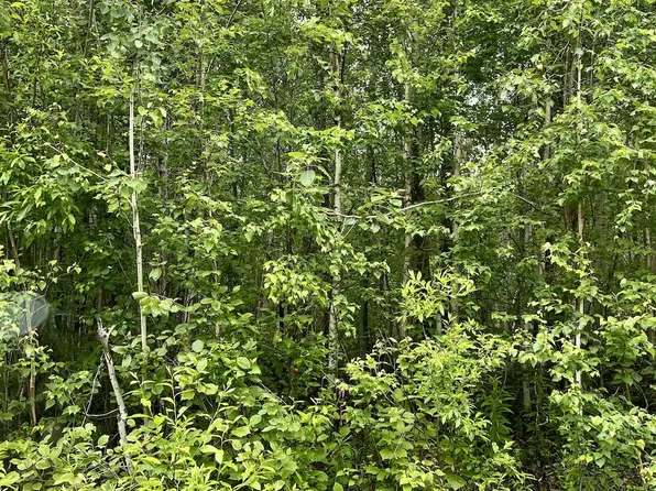 16489 E Hidden Hills Rd, Willow, AK 99688
