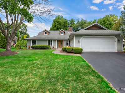 1131 Candlenut Dr, Naperville, IL, 60540