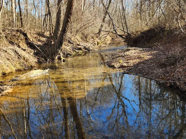 0 Cameron Ln, Nathalie, VA 24577