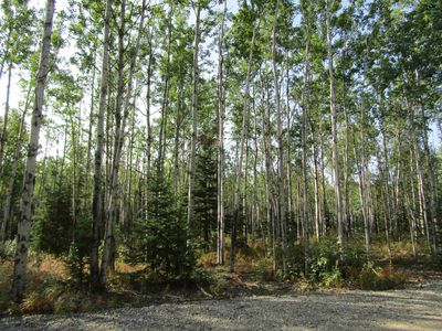 L7bg Poquette St, Delta Junction, AK, 99737