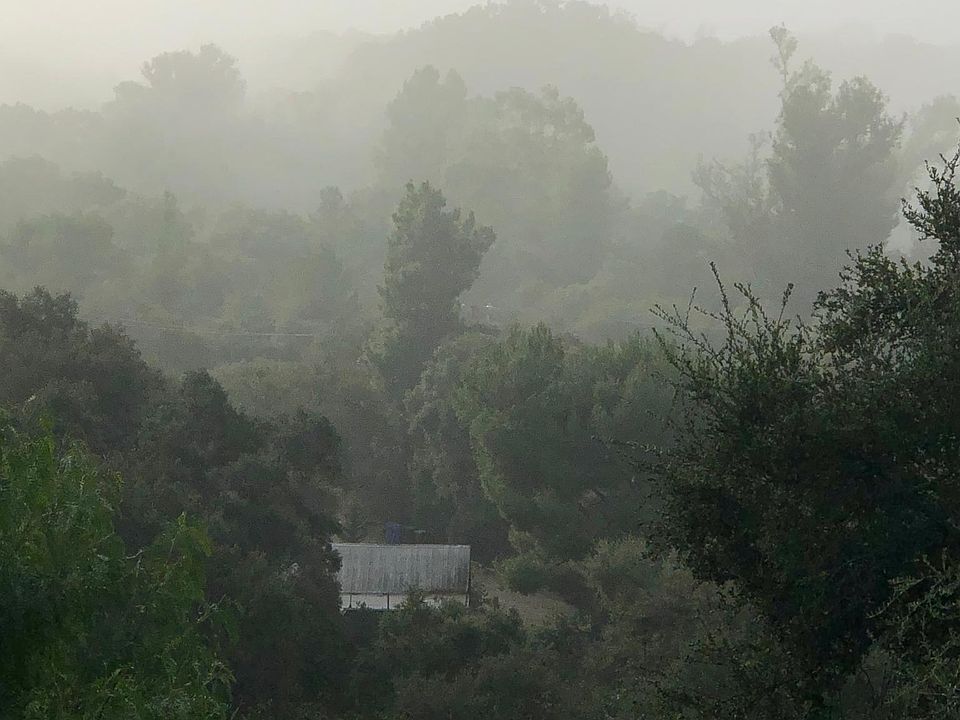 View from the porch