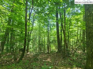 TBD Hollow Point Drive, West Jefferson, NC 28694