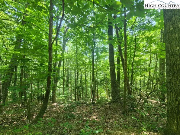 TBD Hollow Point Drive, West Jefferson, NC 28694