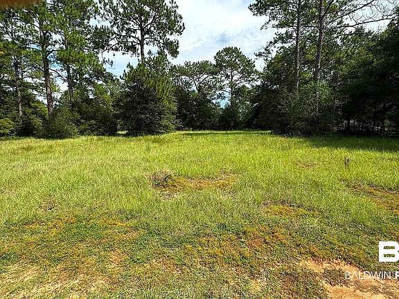 4th image of 24773 Patterson Rd