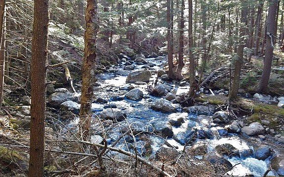 Cascade Brook