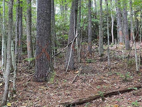 3rd image of 0 Willow Ln