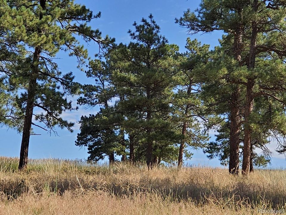 2nd image of 10559 Shadow Pines Rd