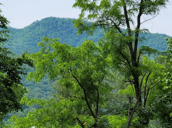 0 Coleman Heights Ln, Rabun Gap, GA 30568