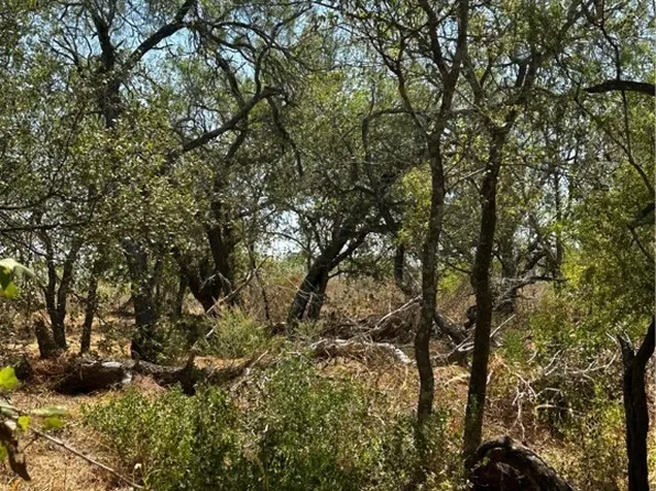 5958 County Road 405, Floresville, TX 78114