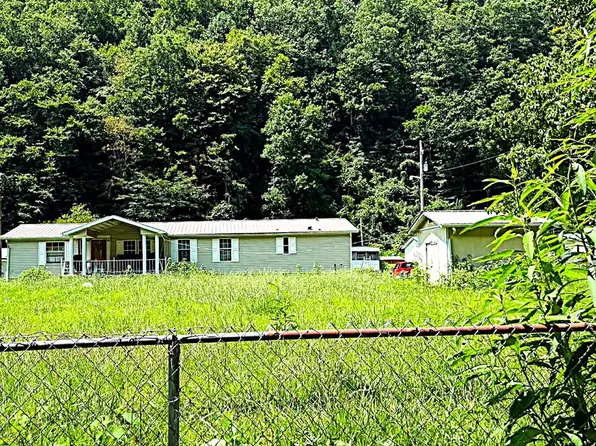 229 Browning Fork Rd, Gilbert, WV 25621