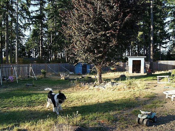 very large fenced backyard