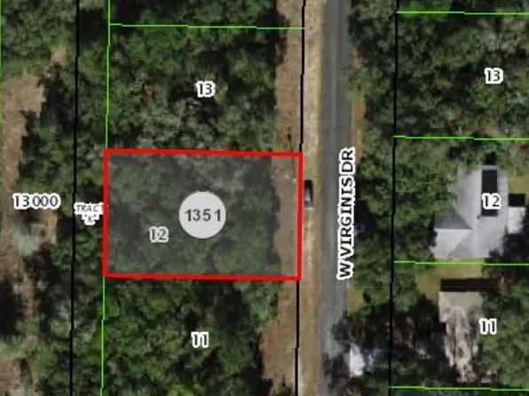 1209 W Virginis Dr, Citrus Springs, FL 34434
