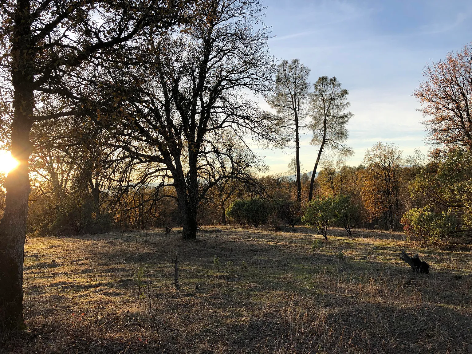 Wistful Vista Ln photo 1