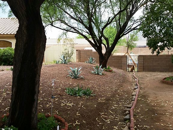 Front yard landscape