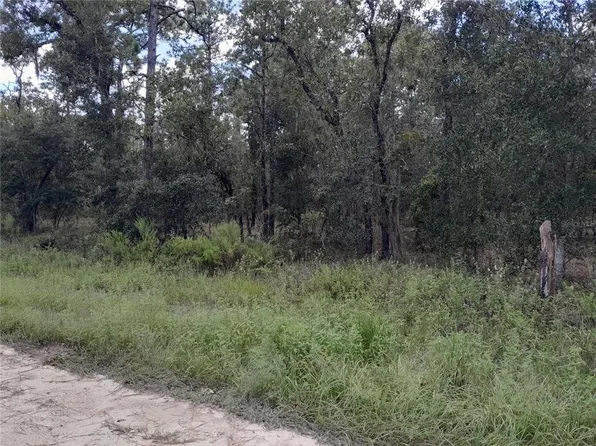 2670 SE 132nd Ct #3, Morriston, FL 32668