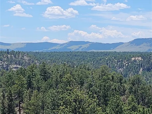 33 Terrace Lane, Florissant, CO 80816