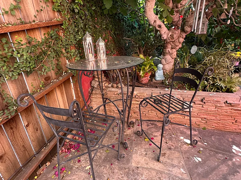 shared backyard