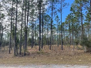 133 Southeast Ave, Dunnellon, FL 34431