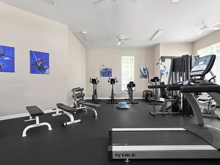 Cardio, Free Weights, and Machines