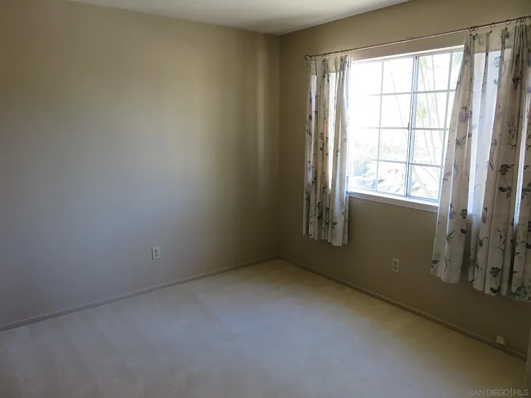 10884 Corte Playa Solana — Photo 29