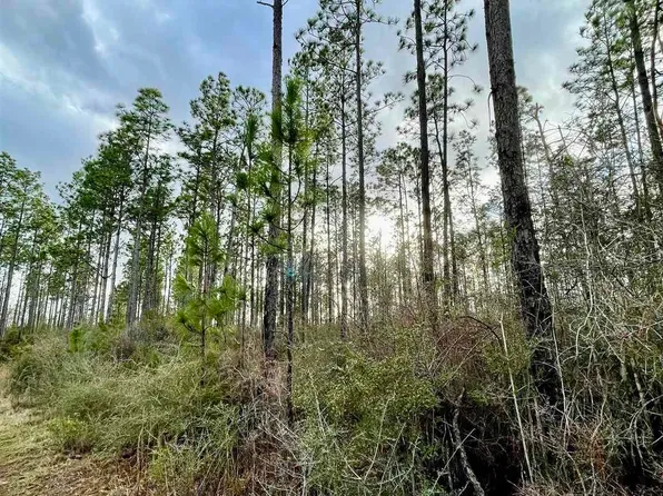 3700 Highway 168, Century, FL 32535