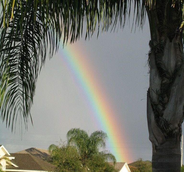 Citrus Springs - Vero Beach