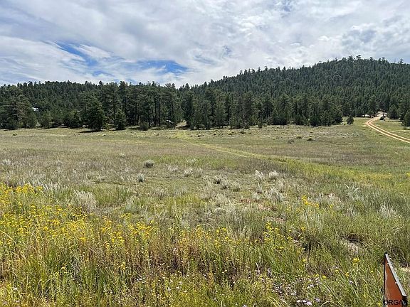 4th image of 1038 Texas Creek Ln