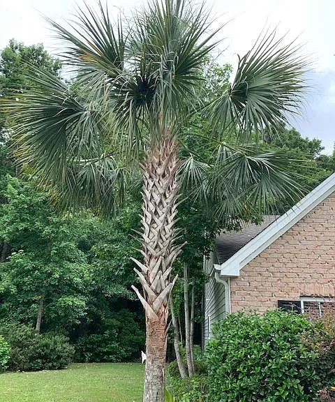 2853 Farmer Brown Ct — Photo 11
