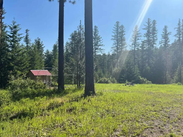 S2ne4nw4t29n Re2 Sec 11 Idaho County, Grangeville, ID 83530