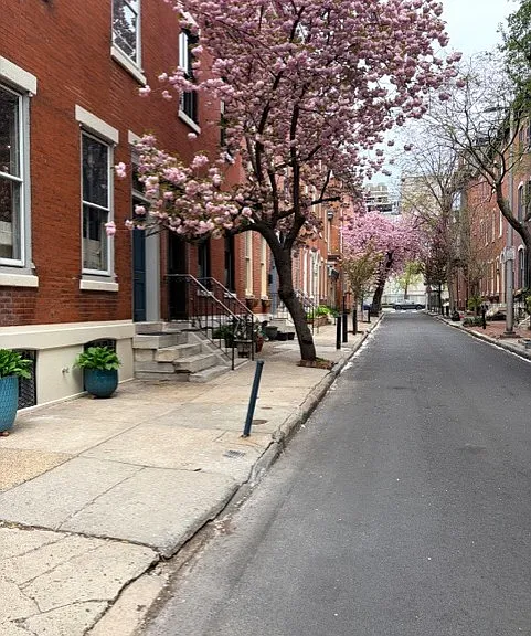 118 N Lambert St #1 — Photo 17