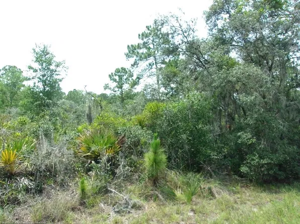 1122 Sparrow St, Lake Placid, FL 33852