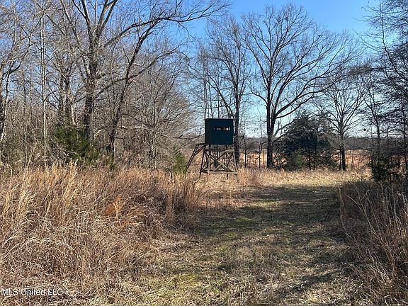 2nd image of 1296 Scotland Rd