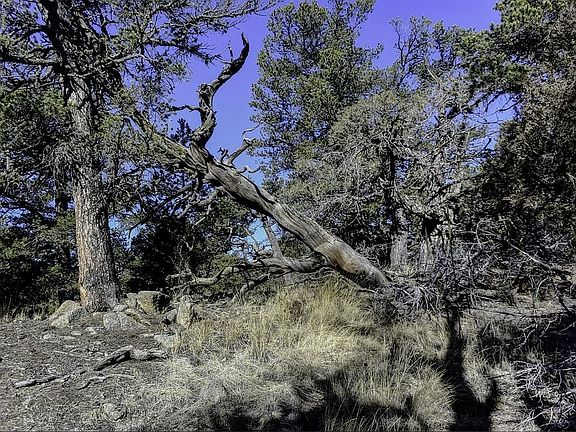 4th image of 700 Wilderness Ln