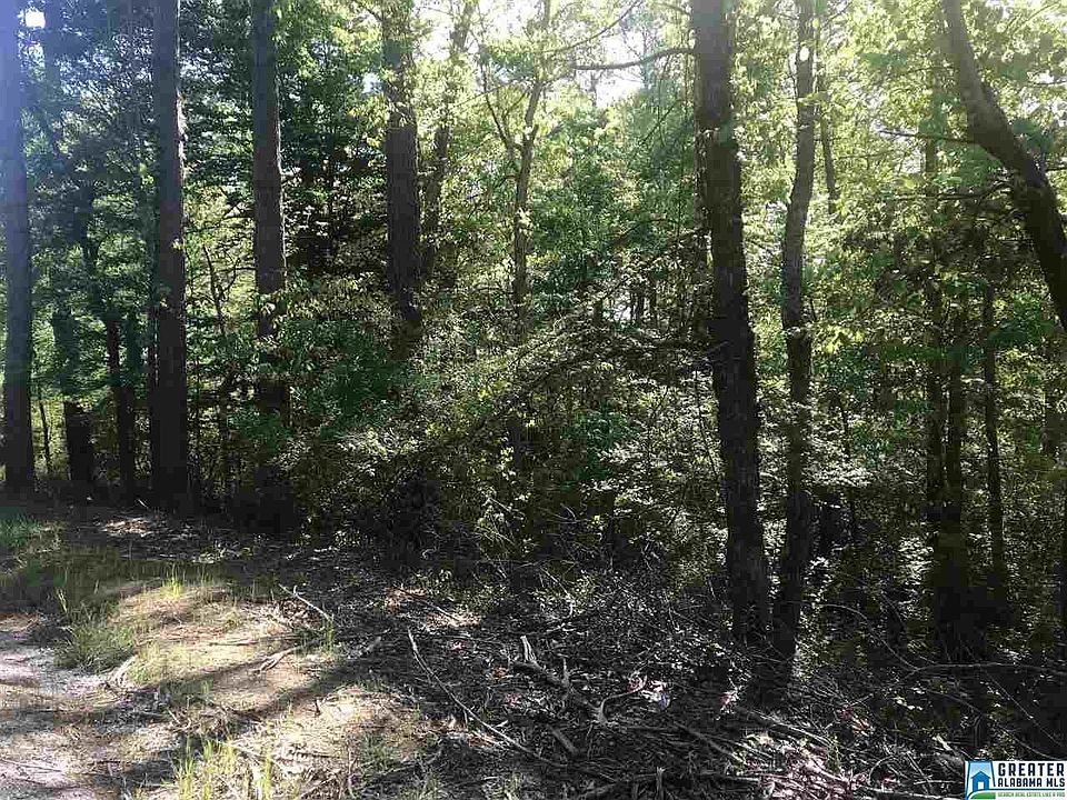 2nd image of 2411 Floyd Bradford Rd
