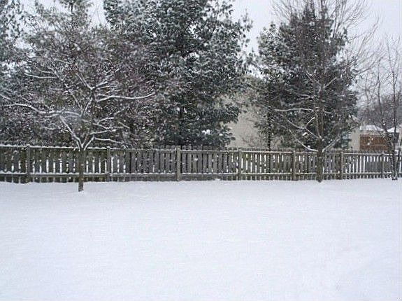 Fenced yard with great privacy