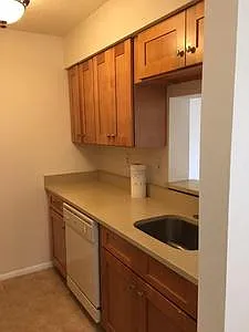 1919 Ravens Crest Dr — Photo 5
