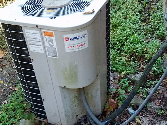 A/C serviced this summer