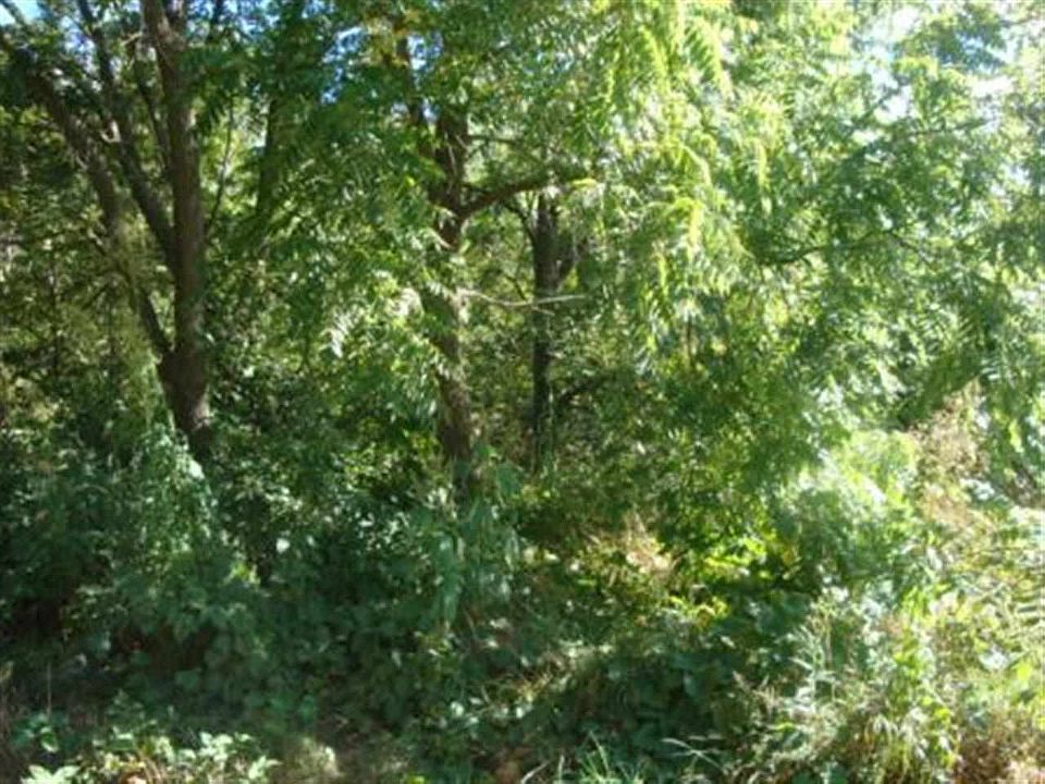 2nd image of Duffy Rd