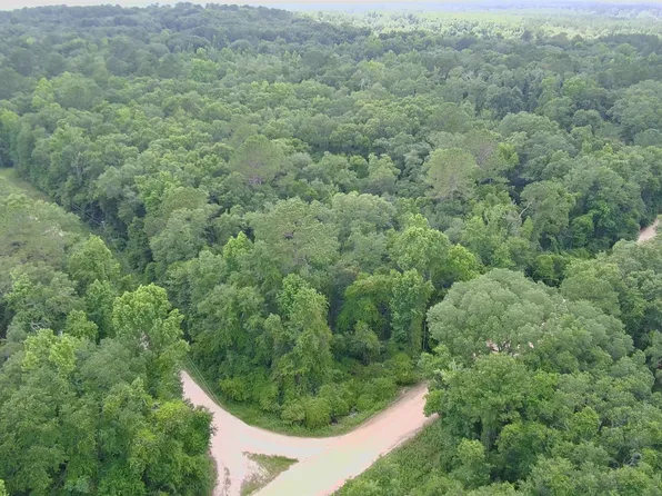 Tbd Ashville Highlands Dr, Greenville, FL 32331