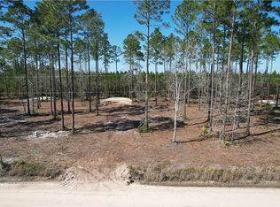 1771 & 1807 Albert Gibson Rd, Hortense, GA 31543