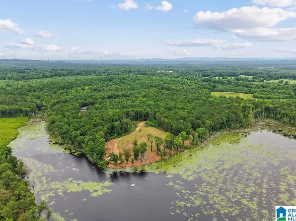 609 Black Horse Run #20, Shelby, AL 35143