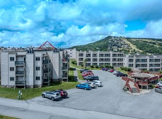 301 Pinnacle Inn Rd #2201, Banner Elk, NC 28604