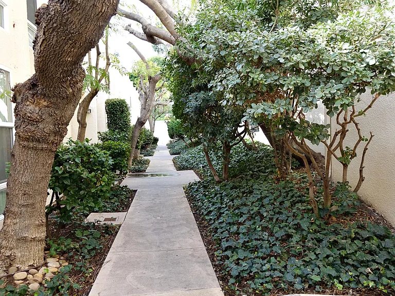 23901 Civic Center Way #D-164 — Photo 23