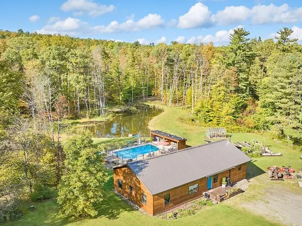 205 Candor Hill Rd, Candor, NY 13743