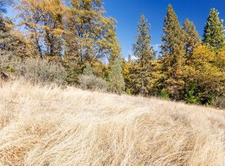 3609 Red Dog Dr, Camino, CA 95709